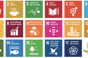 UN SDGs and SAI Slovenia